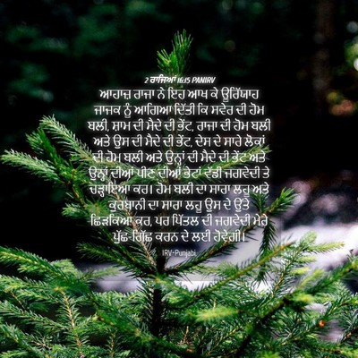 Picture 04 - 2 ਰਾਜਿਆਂ 16:15 PANIRV - ਆਹਾਜ਼ ਰਾਜਾ ਨੇ ਇਹ ਆਖ - Bible Verse Picture
