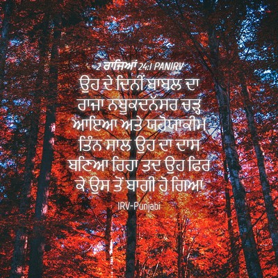 Picture 04 - 2 ਰਾਜਿਆਂ 24:1 PANIRV - ਉਹ ਦੇ ਦਿਨੀਂ ਬਾਬਲ ਦਾ - Bible Verse Picture