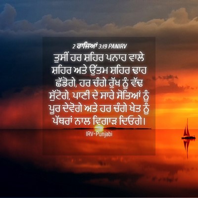 Picture 04 - 2 ਰਾਜਿਆਂ 3:19 PANIRV - ਤੁਸੀਂ ਹਰ ਸ਼ਹਿਰ - Bible Verse Picture