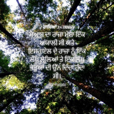 Picture 04 - 2 ਰਾਜਿਆਂ 3:4 PANIRV - ਮੋਆਬ ਦਾ ਰਾਜਾ ਮੇਸ਼ਾ - Bible Verse Picture