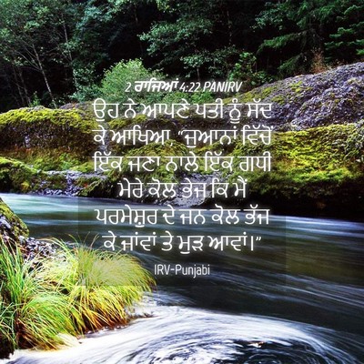 Picture 04 - 2 ਰਾਜਿਆਂ 4:22 PANIRV - ਉਹ ਨੇ ਆਪਣੇ ਪਤੀ ਨੂੰ - Bible Verse Picture