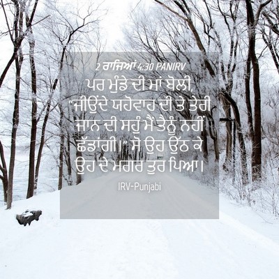 Picture 04 - 2 ਰਾਜਿਆਂ 4:30 PANIRV - ਪਰ ਮੁੰਡੇ ਦੀ ਮਾਂ - Bible Verse Picture