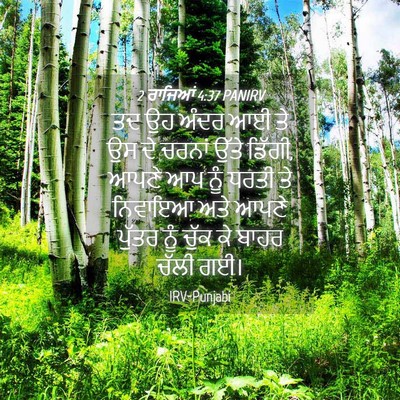 Picture 04 - 2 ਰਾਜਿਆਂ 4:37 PANIRV - ਤਦ ਉਹ ਅੰਦਰ ਆਈ ਤੇ ਉਸ - Bible Verse Picture