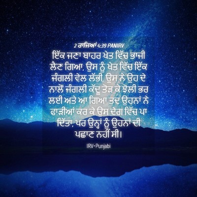 Picture 04 - 2 ਰਾਜਿਆਂ 4:39 PANIRV - ਇੱਕ ਜਣਾ ਬਾਹਰ ਖੇਤ - Bible Verse Picture