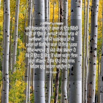 Picture 04 - 2 ਰਾਜਿਆਂ 5:7 PANIRV - ਜਦੋਂ ਇਸਰਾਏਲ ਦੇ - Bible Verse Picture