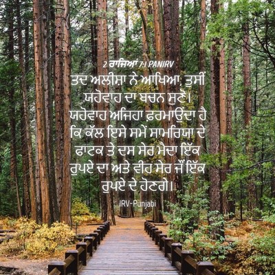 Picture 04 - 2 ਰਾਜਿਆਂ 7:1 PANIRV - ਤਦ ਅਲੀਸ਼ਾ ਨੇ ਆਖਿਆ, - Bible Verse Picture