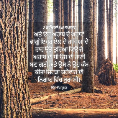 Picture 04 - 2 ਰਾਜਿਆਂ 8:18 PANIRV - ਅਤੇ ਉਹ ਅਹਾਬ ਦੇ - Bible Verse Picture