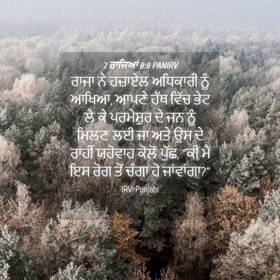 Picture 04 - 2 ਰਾਜਿਆਂ 8:8 PANIRV - ਰਾਜਾ ਨੇ ਹਜ਼ਾਏਲ - Bible Verse Picture