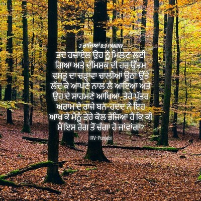 Picture 04 - 2 ਰਾਜਿਆਂ 8:9 PANIRV - ਤਦ ਹਜ਼ਾਏਲ ਉਹ ਨੂੰ - Bible Verse Picture