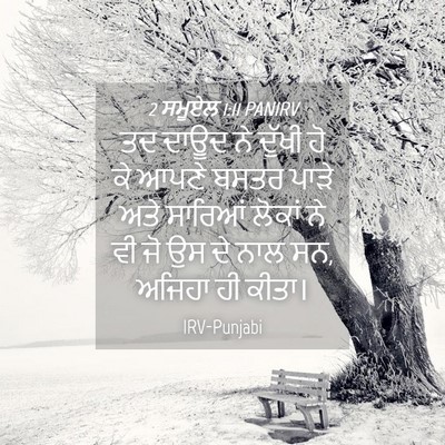 Picture 04 - 2 ਸਮੂਏਲ 1:11 PANIRV - ਤਦ ਦਾਊਦ ਨੇ ਦੁੱਖੀ ਹੋ - Bible Verse Picture