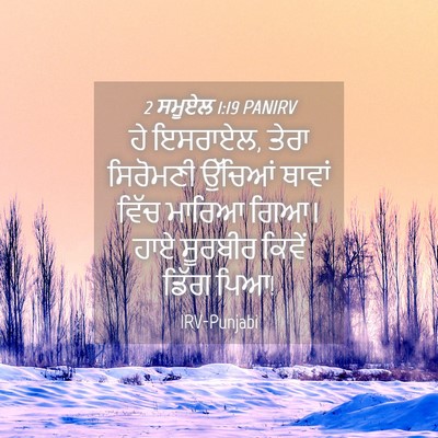 Picture 04 - 2 ਸਮੂਏਲ 1:19 PANIRV - ਹੇ ਇਸਰਾਏਲ, ਤੇਰਾ - Bible Verse Picture