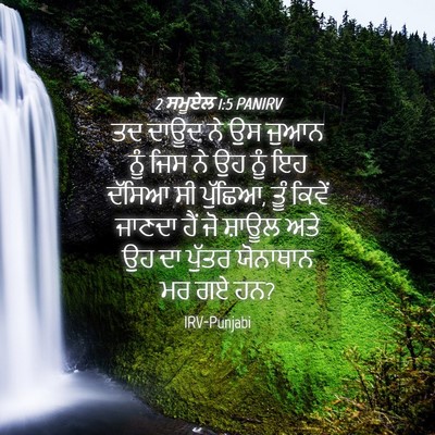 Picture 04 - 2 ਸਮੂਏਲ 1:5 PANIRV - ਤਦ ਦਾਊਦ ਨੇ ਉਸ ਜੁਆਨ - Bible Verse Picture