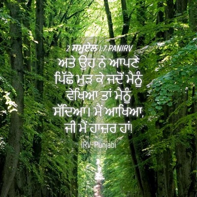 Picture 04 - 2 ਸਮੂਏਲ 1:7 PANIRV - ਅਤੇ ਉਹ ਨੇ ਆਪਣੇ - Bible Verse Picture