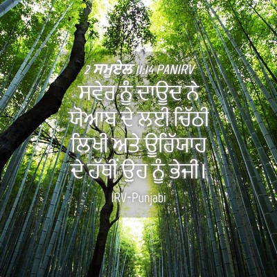 Picture 04 - 2 ਸਮੂਏਲ 11:14 PANIRV - ਸਵੇਰ ਨੂੰ ਦਾਊਦ ਨੇ - Bible Verse Picture