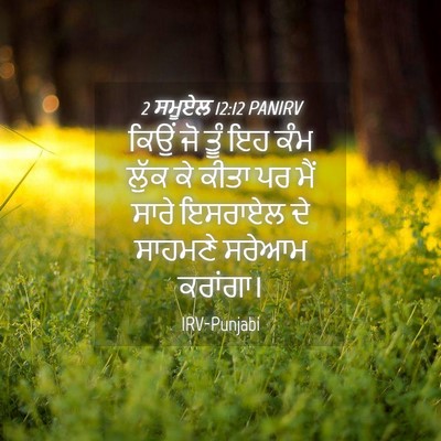 Picture 04 - 2 ਸਮੂਏਲ 12:12 PANIRV - ਕਿਉਂ ਜੋ ਤੂੰ ਇਹ ਕੰਮ - Bible Verse Picture