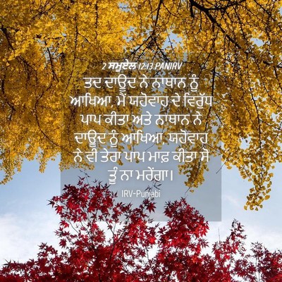 Picture 04 - 2 ਸਮੂਏਲ 12:13 PANIRV - ਤਦ ਦਾਊਦ ਨੇ ਨਾਥਾਨ - Bible Verse Picture