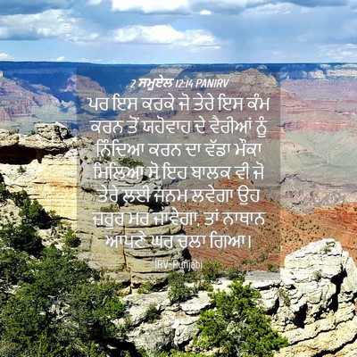 Picture 04 - 2 ਸਮੂਏਲ 12:14 PANIRV - ਪਰ ਇਸ ਕਰਕੇ ਜੋ ਤੇਰੇ - Bible Verse Picture