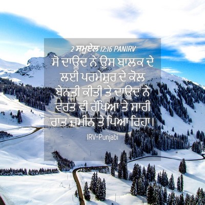 Picture 04 - 2 ਸਮੂਏਲ 12:16 PANIRV - ਸੋ ਦਾਊਦ ਨੇ ਉਸ ਬਾਲਕ - Bible Verse Picture