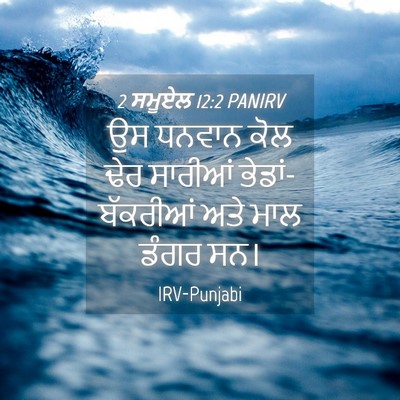 Picture 04 - 2 ਸਮੂਏਲ 12:2 PANIRV - ਉਸ ਧਨਵਾਨ ਕੋਲ ਢੇਰ - Bible Verse Picture