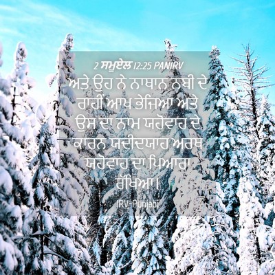 Picture 04 - 2 ਸਮੂਏਲ 12:25 PANIRV - ਅਤੇ ਉਹ ਨੇ ਨਾਥਾਨ ਨਬੀ - Bible Verse Picture