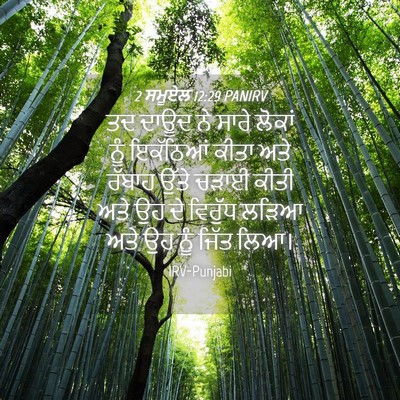 Picture 04 - 2 ਸਮੂਏਲ 12:29 PANIRV - ਤਦ ਦਾਊਦ ਨੇ ਸਾਰੇ - Bible Verse Picture