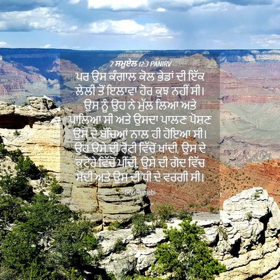 Picture 04 - 2 ਸਮੂਏਲ 12:3 PANIRV - ਪਰ ਉਸ ਕੰਗਾਲ ਕੋਲ - Bible Verse Picture