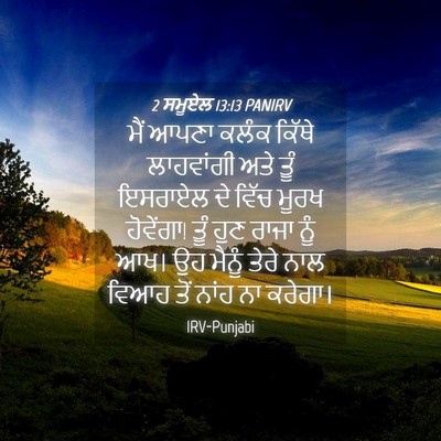 Picture 04 - 2 ਸਮੂਏਲ 13:13 PANIRV - ਮੈਂ ਆਪਣਾ ਕਲੰਕ - Bible Verse Picture
