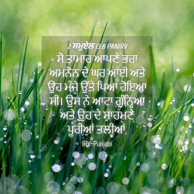 Picture 04 - 2 ਸਮੂਏਲ 13:8 PANIRV - ਸੋ ਤਾਮਾਰ ਆਪਣੇ ਭਰਾ - Bible Verse Picture