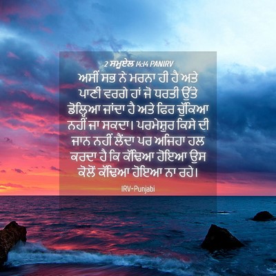 Picture 04 - 2 ਸਮੂਏਲ 14:14 PANIRV - ਅਸੀਂ ਸਭ ਨੇ ਮਰਨਾ ਹੀ - Bible Verse Picture