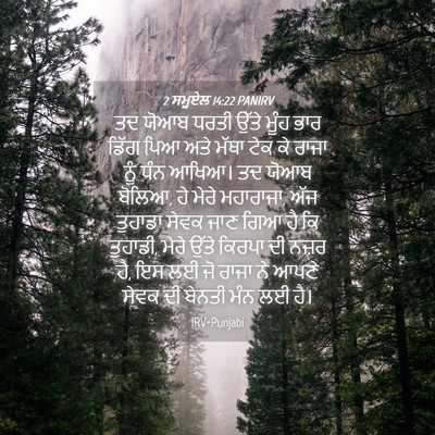 Picture 04 - 2 ਸਮੂਏਲ 14:22 PANIRV - ਤਦ ਯੋਆਬ ਧਰਤੀ ਉੱਤੇ - Bible Verse Picture