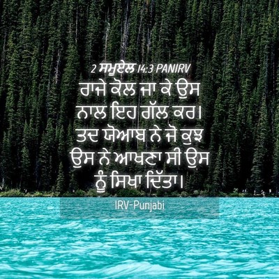Picture 04 - 2 ਸਮੂਏਲ 14:3 PANIRV - ਰਾਜੇ ਕੋਲ ਜਾ ਕੇ ਉਸ - Bible Verse Picture
