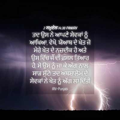 Picture 04 - 2 ਸਮੂਏਲ 14:30 PANIRV - ਤਦ ਉਸ ਨੇ ਆਪਣੇ - Bible Verse Picture