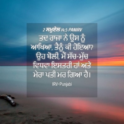 Picture 04 - 2 ਸਮੂਏਲ 14:5 PANIRV - ਤਦ ਰਾਜਾ ਨੇ ਉਸ ਨੂੰ - Bible Verse Picture