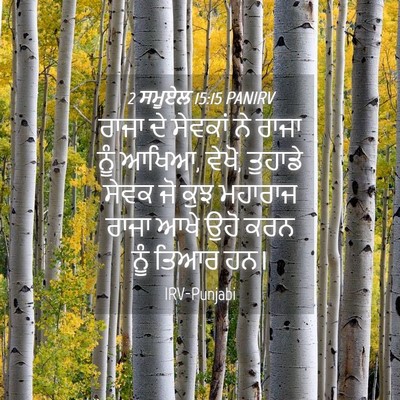 Picture 04 - 2 ਸਮੂਏਲ 15:15 PANIRV - ਰਾਜਾ ਦੇ ਸੇਵਕਾਂ ਨੇ - Bible Verse Picture
