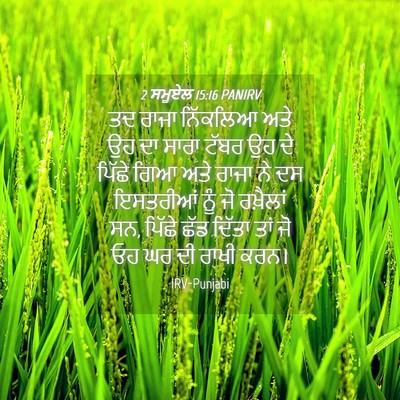 Picture 04 - 2 ਸਮੂਏਲ 15:16 PANIRV - ਤਦ ਰਾਜਾ ਨਿੱਕਲਿਆ - Bible Verse Picture