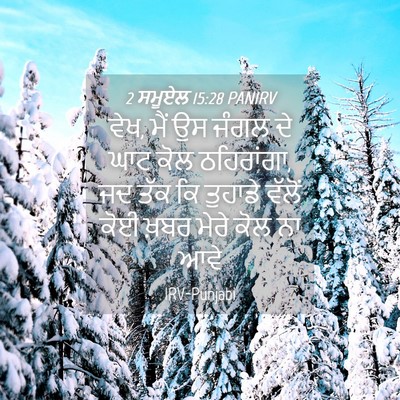Picture 04 - 2 ਸਮੂਏਲ 15:28 PANIRV - ਵੇਖ, ਮੈਂ ਉਸ ਜੰਗਲ ਦੇ - Bible Verse Picture
