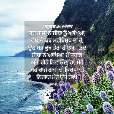Picture 04 - 2 ਸਮੂਏਲ 16:4 PANIRV - ਤਦ ਰਾਜਾ ਨੇ ਸੀਬਾ ਨੂੰ - Bible Verse Picture