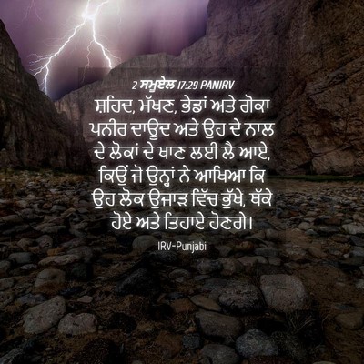 Picture 04 - 2 ਸਮੂਏਲ 17:29 PANIRV - ਸ਼ਹਿਦ, ਮੱਖਣ, ਭੇਡਾਂ - Bible Verse Picture
