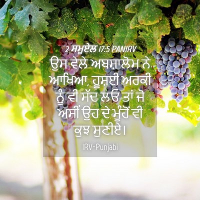 Picture 04 - 2 ਸਮੂਏਲ 17:5 PANIRV - ਉਸ ਵੇਲੇ ਅਬਸ਼ਾਲੋਮ - Bible Verse Picture
