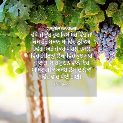 Picture 04 - 2 ਸਮੂਏਲ 17:9 PANIRV - ਵੇਖੋ, ਜੋ ਉਹ ਹੁਣ - Bible Verse Picture