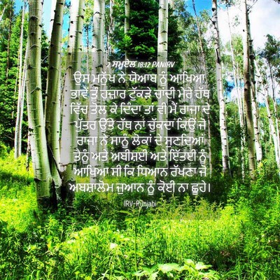 Picture 04 - 2 ਸਮੂਏਲ 18:12 PANIRV - ਉਸ ਮਨੁੱਖ ਨੇ ਯੋਆਬ - Bible Verse Picture