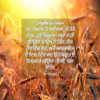 Picture 04 - 2 ਸਮੂਏਲ 18:14 PANIRV - ਤਦ ਯੋਆਬ ਨੇ ਆਖਿਆ, - Bible Verse Picture
