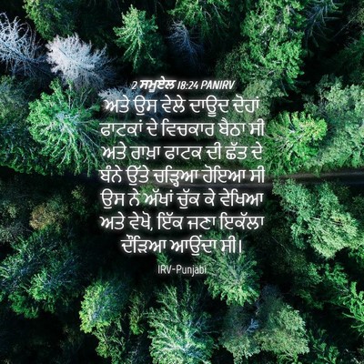 Picture 04 - 2 ਸਮੂਏਲ 18:24 PANIRV - ਅਤੇ ਉਸ ਵੇਲੇ ਦਾਊਦ - Bible Verse Picture