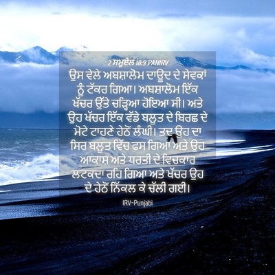 Picture 04 - 2 ਸਮੂਏਲ 18:9 PANIRV - ਉਸ ਵੇਲੇ ਅਬਸ਼ਾਲੋਮ - Bible Verse Picture