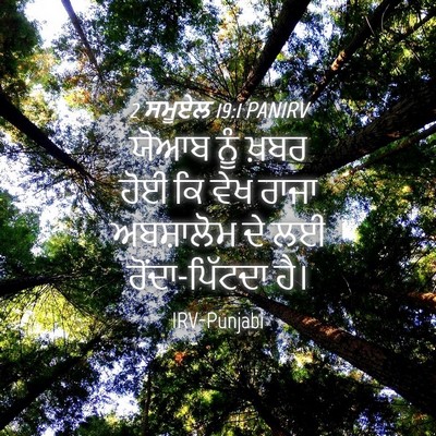 Picture 04 - 2 ਸਮੂਏਲ 19:1 PANIRV - ਯੋਆਬ ਨੂੰ ਖ਼ਬਰ ਹੋਈ - Bible Verse Picture
