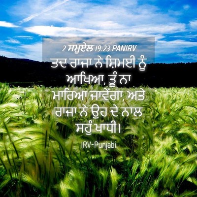 Picture 04 - 2 ਸਮੂਏਲ 19:23 PANIRV - ਤਦ ਰਾਜਾ ਨੇ ਸ਼ਿਮਈ - Bible Verse Picture