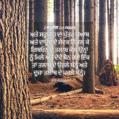 Picture 04 - 2 ਸਮੂਏਲ 2:13 PANIRV - ਅਤੇ ਸਰੂਯਾਹ ਦਾ - Bible Verse Picture
