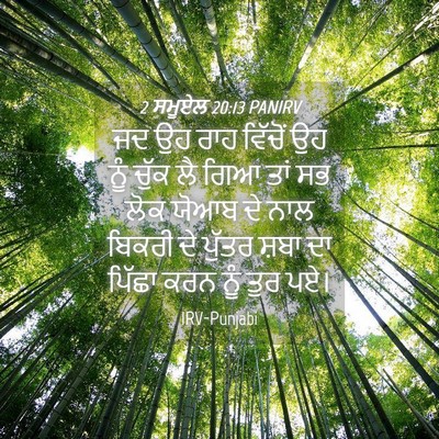 Picture 04 - 2 ਸਮੂਏਲ 20:13 PANIRV - ਜਦ ਉਹ ਰਾਹ ਵਿੱਚੋਂ ਉਹ - Bible Verse Picture