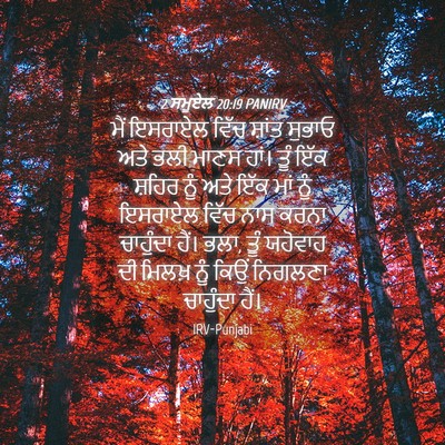 Picture 04 - 2 ਸਮੂਏਲ 20:19 PANIRV - ਮੈਂ ਇਸਰਾਏਲ ਵਿੱਚ - Bible Verse Picture