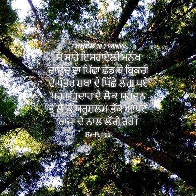 Picture 04 - 2 ਸਮੂਏਲ 20:2 PANIRV - ਸੋ ਸਾਰੇ ਇਸਰਾਏਲੀ - Bible Verse Picture